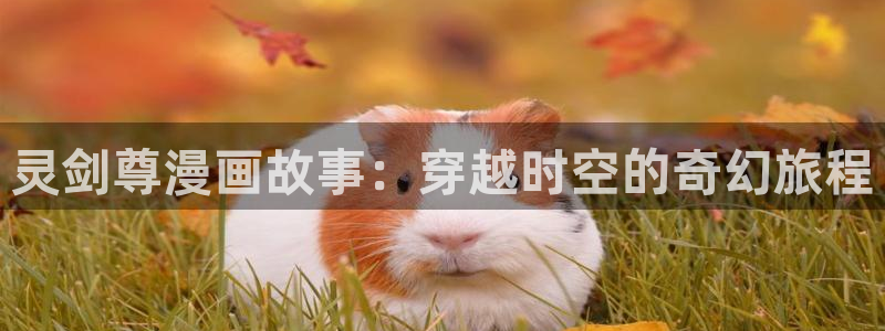 喵趣漫画v1.0.9版本