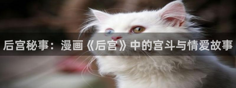 喵趣漫画v1.0.9版本