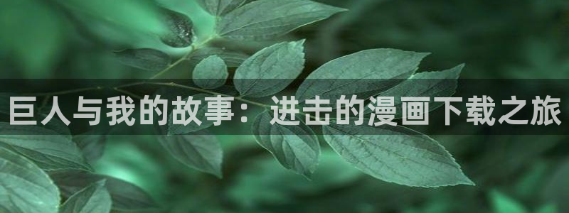 喵趣漫画广告